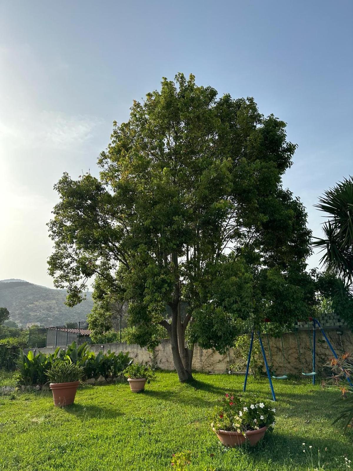 Bed and breakfast Inserra Deluxe